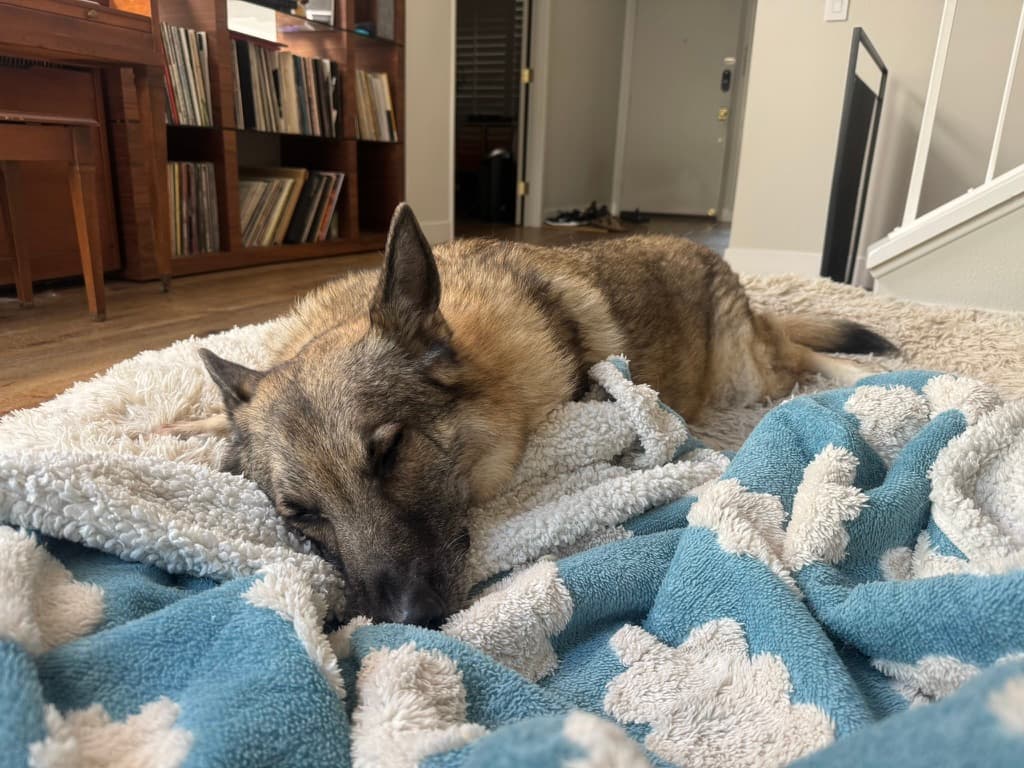 Henry resting peacefully on a blanket with clouds pattern