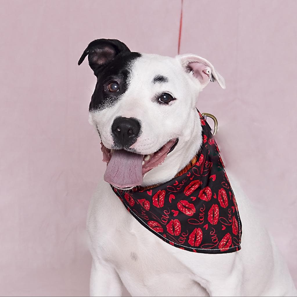 Ursula — thumbnail 8