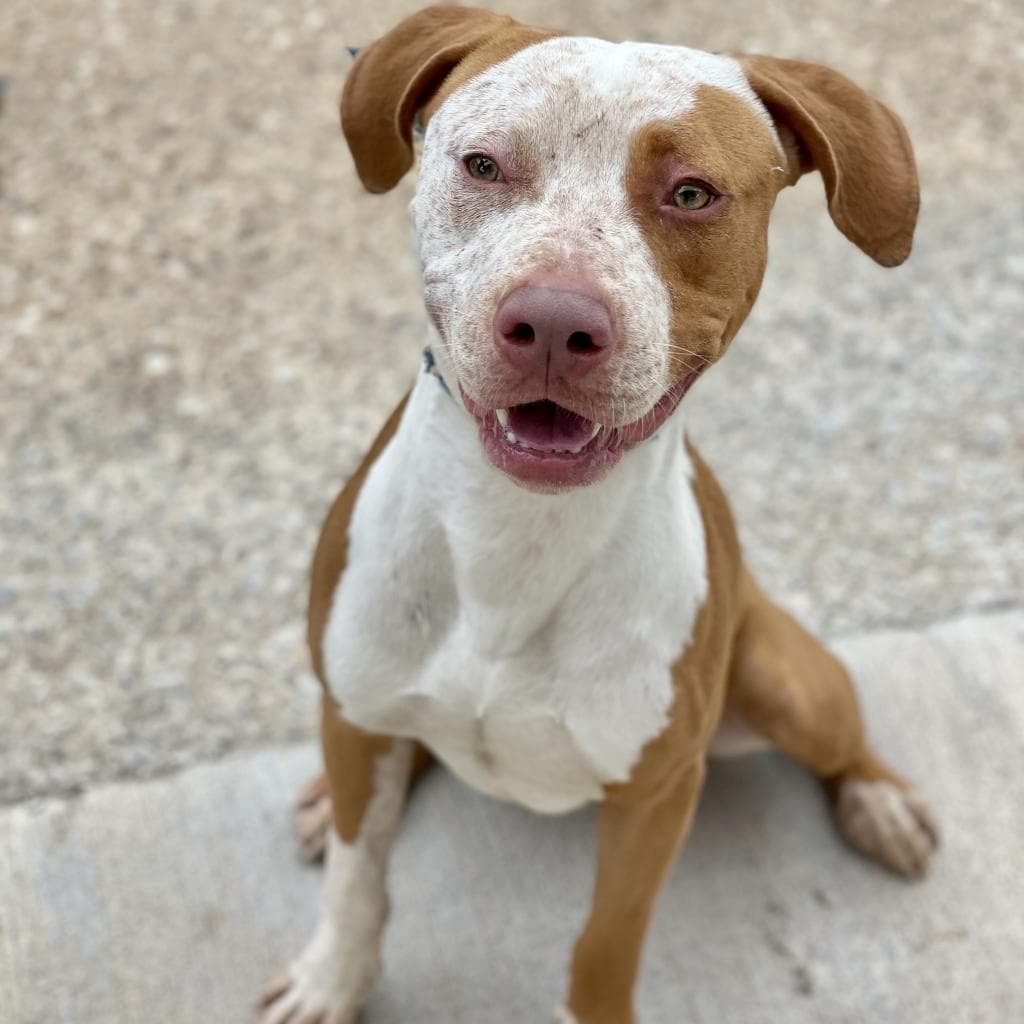 Front Porch — thumbnail 10