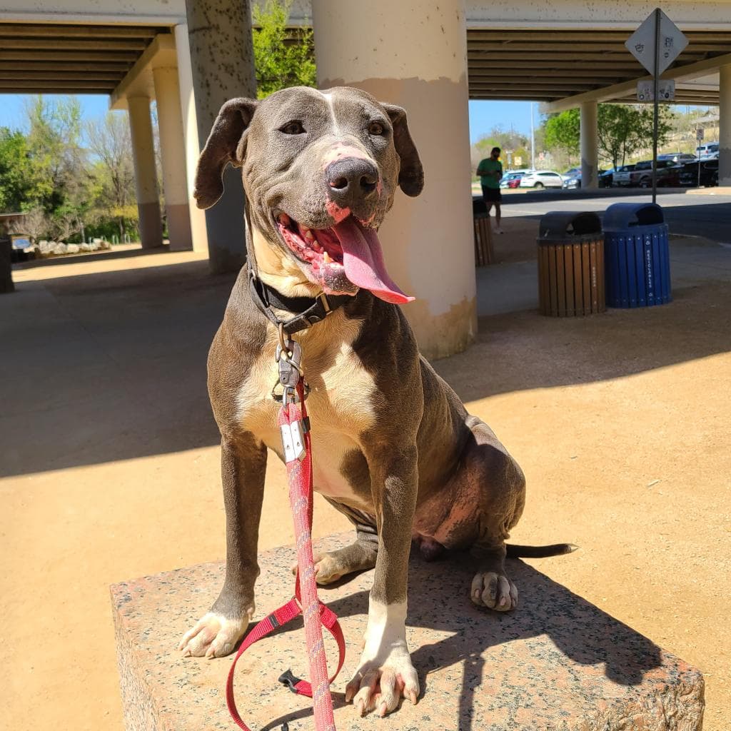 Edna — thumbnail 9