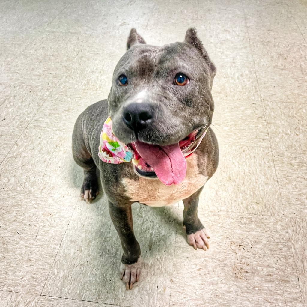 Moonlight — thumbnail 10