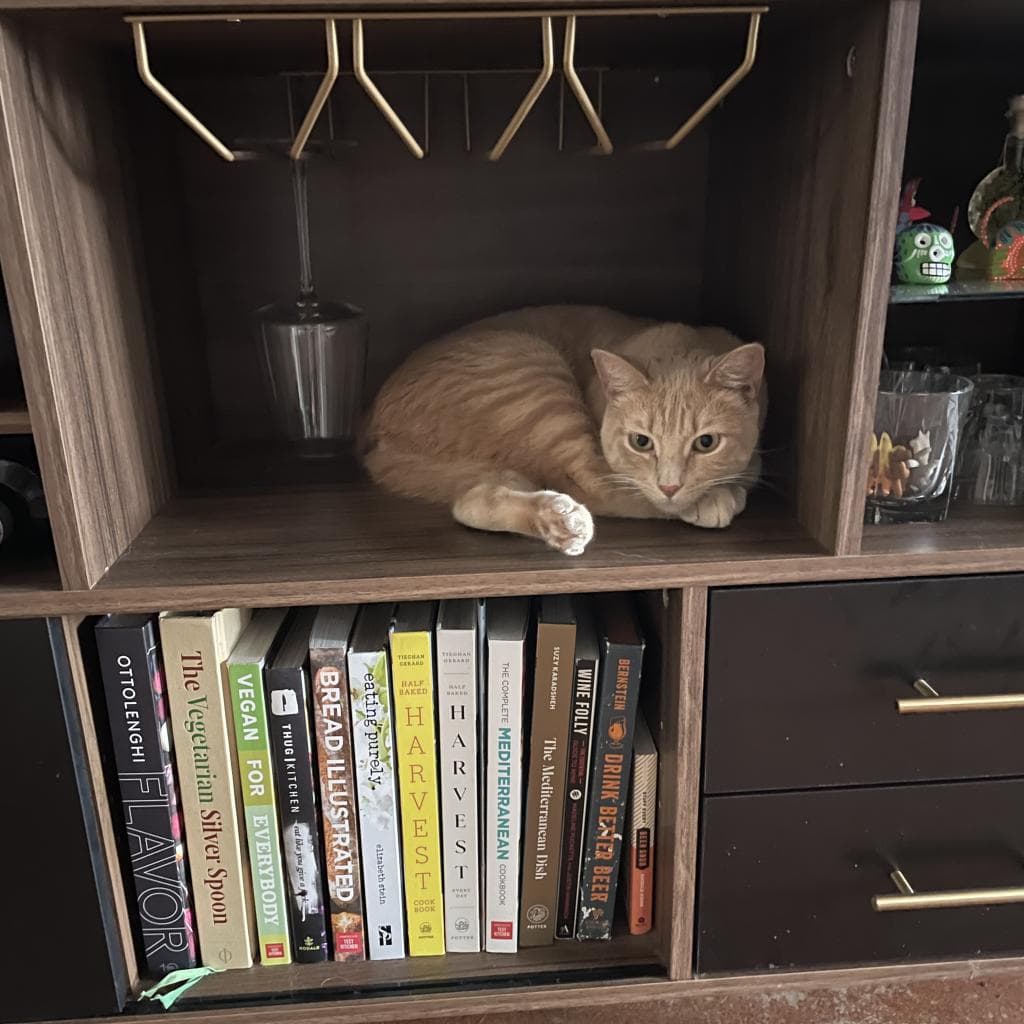 Manx for the Memories — thumbnail 9