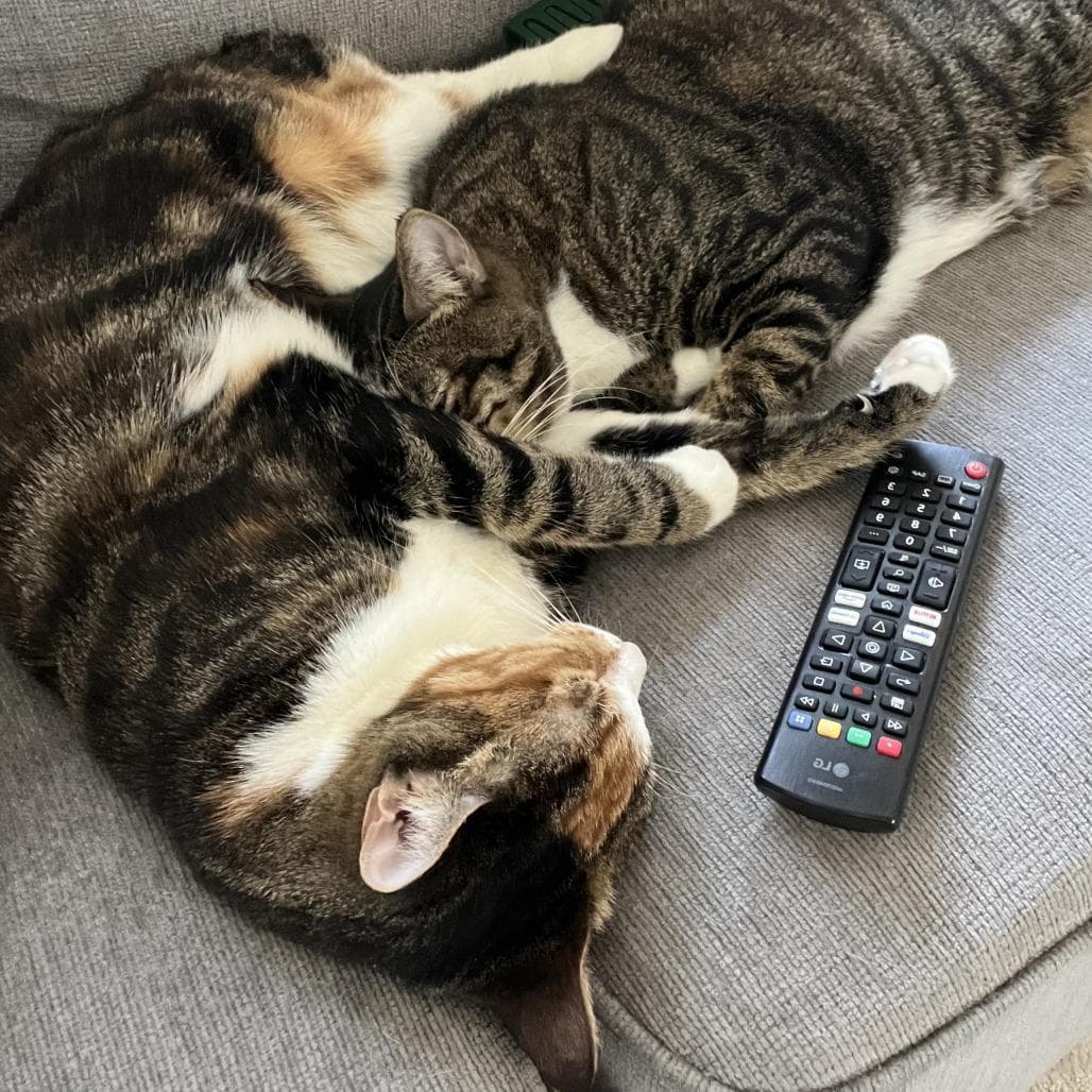 Danish bonded Croissant