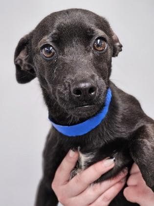 Emilio Estevez fka 222257