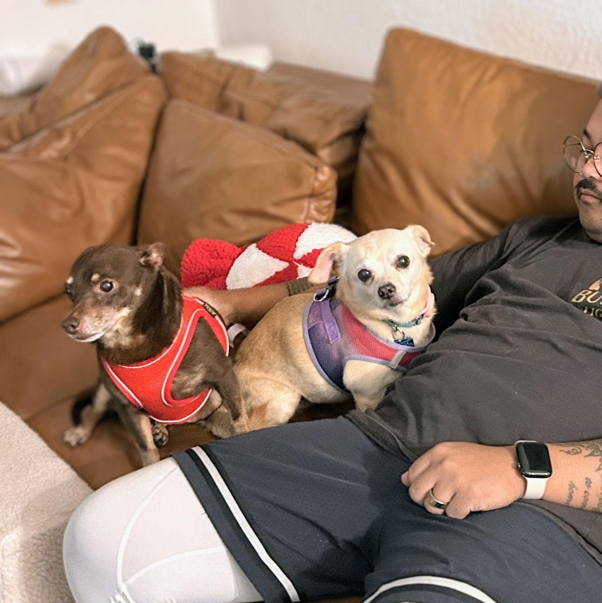 Edith (bonded with Archie)