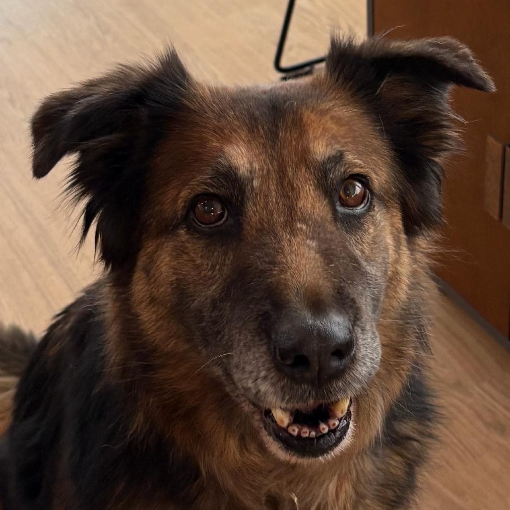 Maggie Magnolia 13858